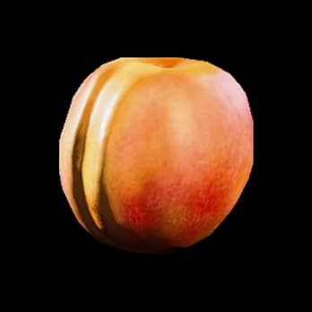 Apricot