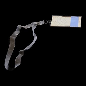 Blue Gate Cellar Key