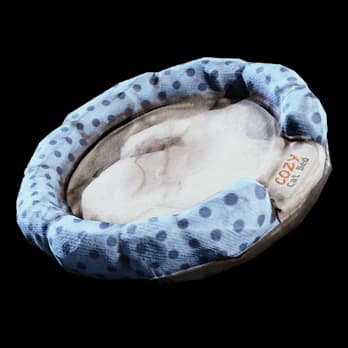 Cat Bed